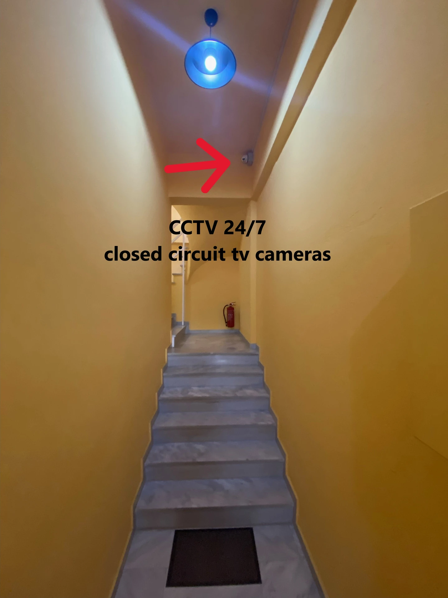 416ix real estate Studio